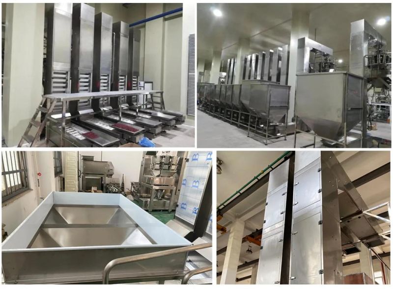 Food Packing Bucket Elevator Conveyor Machine Used for Pouch Sealing