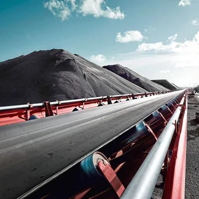 Stainless Steel Belt Conveyor Is Used in Chemical Industry