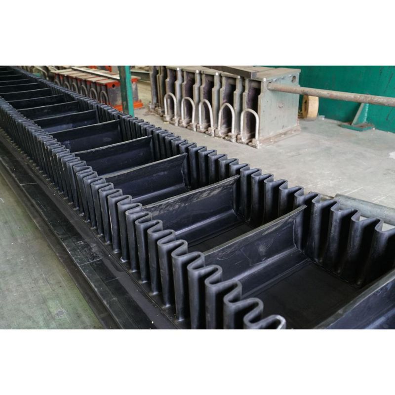 Long Life Service Sidewall Conveyor Belts for Indian Power Plant