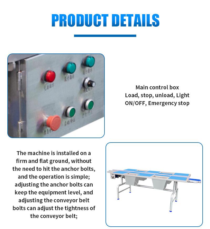 Stainless Steel Frame PVC Belt Conveyor for Vegetable Industry