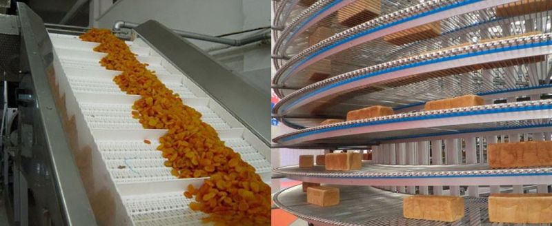 Factoy Bakery Industry Balanced Belt / Spiral Conveyor Belt/ Ladder Belt/Double Spiral Belt/Modular Belt/ Modular Plastic Conveyor Belt