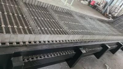 Different Type Products Conveyor for Packing Machine