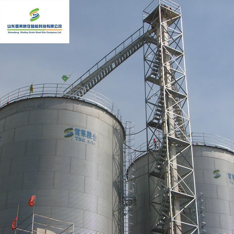 China Manufacture Grain Bucket Elevator for Steel Storage Silo