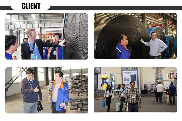 Rubber Conveyor Belt-Ep250/3, Cov, 2.5+1.5mm, Width 800mm, Thick 7.0mm, 6 to 8MPa
