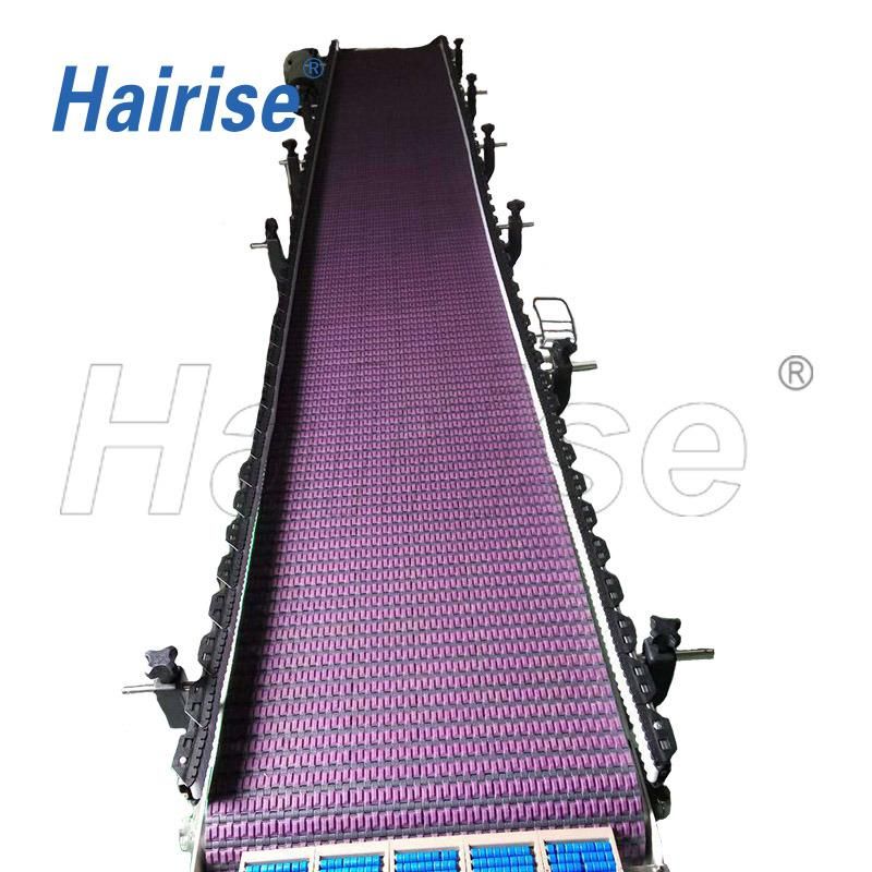 Hairise Straigt Running Modular Belt Conveyor