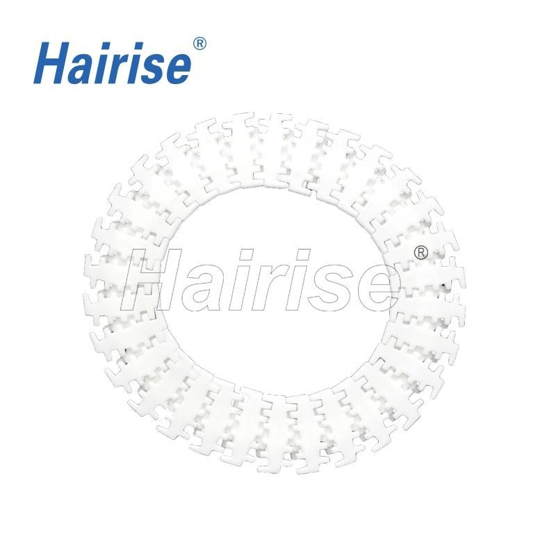 Hairise 2350pw Plastic Chain for Package Industry
