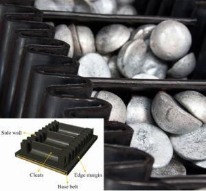High-Angle Conveyor Belt for Mining Coal Cement Port Power Casting Metallurgy