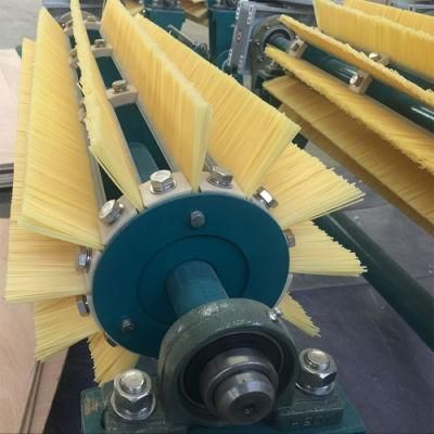 Factory Specialized in Rotary Brush Belt Cleaner