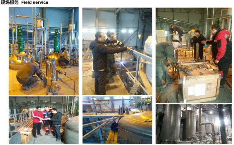 High Quality Powder and Bulk Solids Screw Feedwe Screw Conveyer for Conveying System