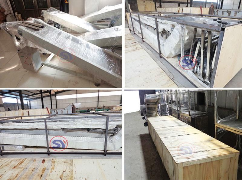 Mild Steel Drag Conveyor Plate Conveyor for Liquid Containers