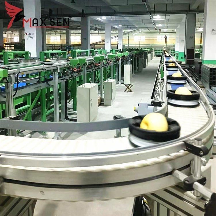 China Cuved Flexible Chain Plastic Conveyor for Bottles Cans Transportation