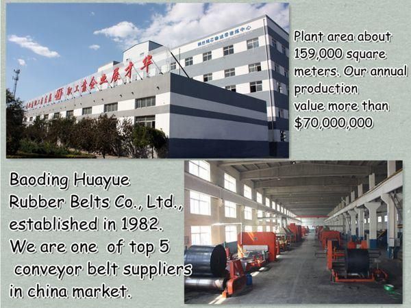 Quality Assured Fire Resistant Rubber Conveyor Belt PVC Pvg Strength 680-1600n/mm Coal Mine