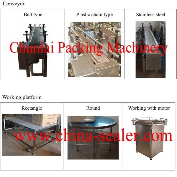 Plastic Chain Belt Stainless Steel Roller Conveyor