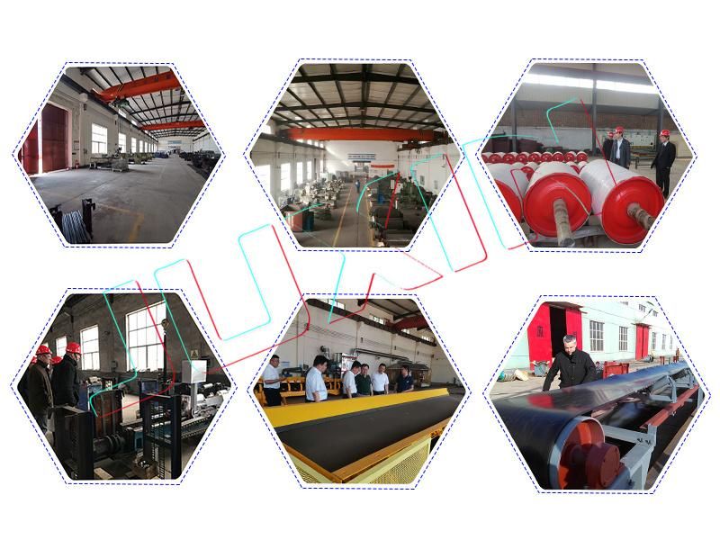 Customized Carrying Roller for Bulk Material with CE