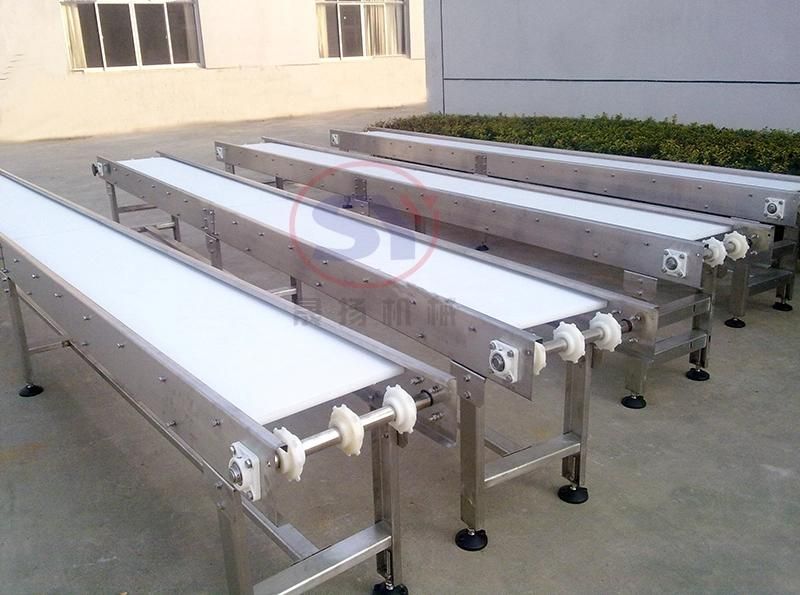 Automation Motorized Stainless Steel Flat Belt Conveyor for Cake Candy Fruit Process