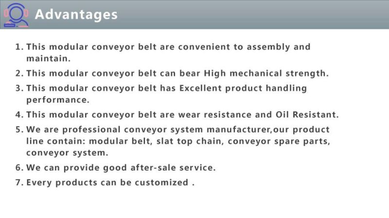 Hot Sale Conveyor Belt for Meat/Poultry Vegetables/Modular Plastic Conveyor Belt