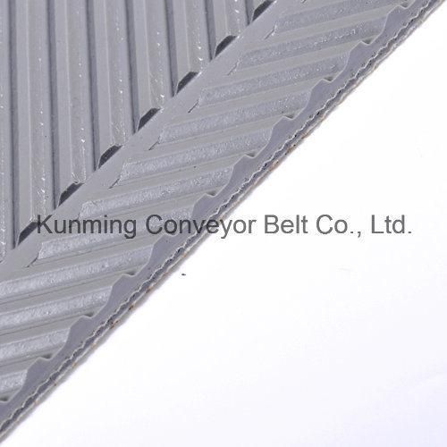 Conveyor Belt PVC (AEM200/2: 0+2.8FB/4.8BR/AS)