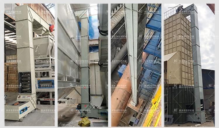 Bulk Materials Industrial Stainless/Mild Steel Z Type Bucket Conveyor Elevator