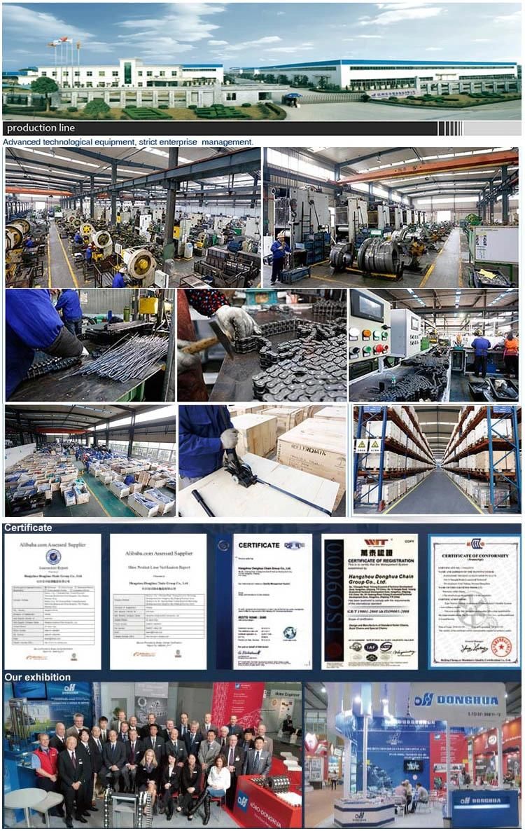 High reputation factory manufacturing high strength stainless steel conveyor chain