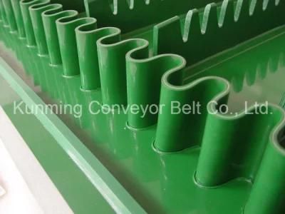 PVC Conveyor Belt (produce by customer requirement)