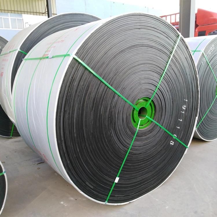 Quality Assured Nylon Conveyor Belt Sale with Best Price