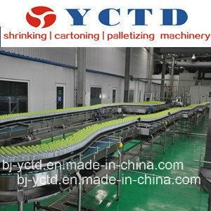 Plastic Bottle Chain Plate Conveyor for Beverage Packaging Line (YCTD)