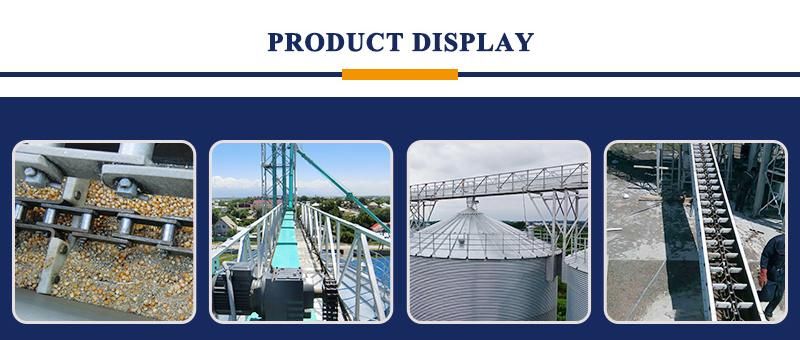 Shelley Factory Design Grain Drag Conveyor for Bulk Material Grains