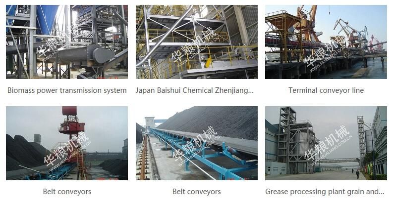 Scraper Chain Conveyor/Drag Conveyor/Redler/En Masse Conveyor