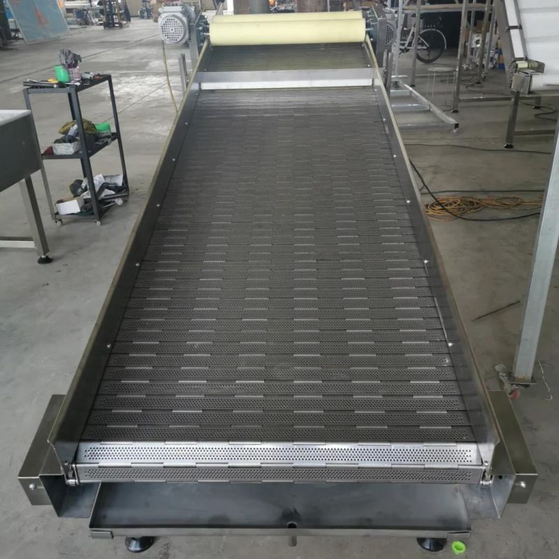 Stainless Steel Conveyor Belt for Cleaning, Cooling and Drying Line