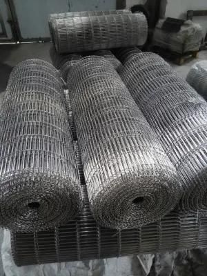 Hot Selling Wire Conveyor Belt for Food Processing Equipment