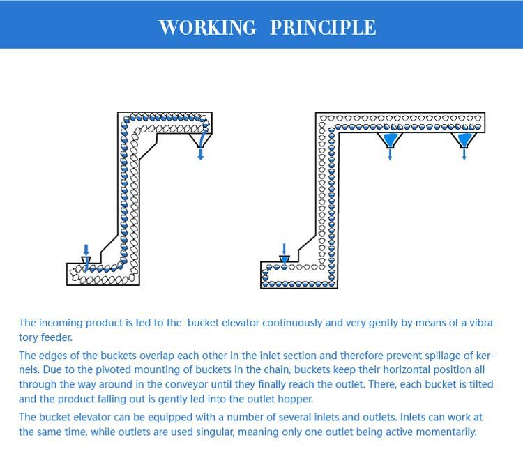 Continuous Bulk Material Lifting Multipoint Z Bucket Conveyor