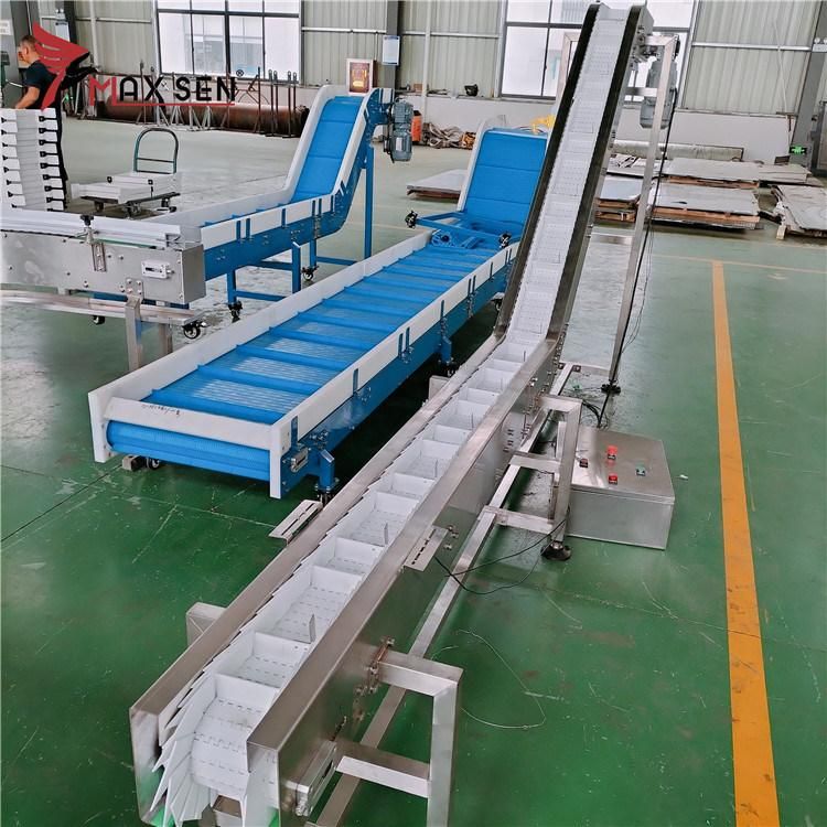 2021 New Customized Plastic Modular Belt Conveyor System Belting for Adhesive Tapes Delivery