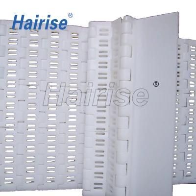 Hairise Sales Popular Converyor Modular Belt (Har5936 series baffle)