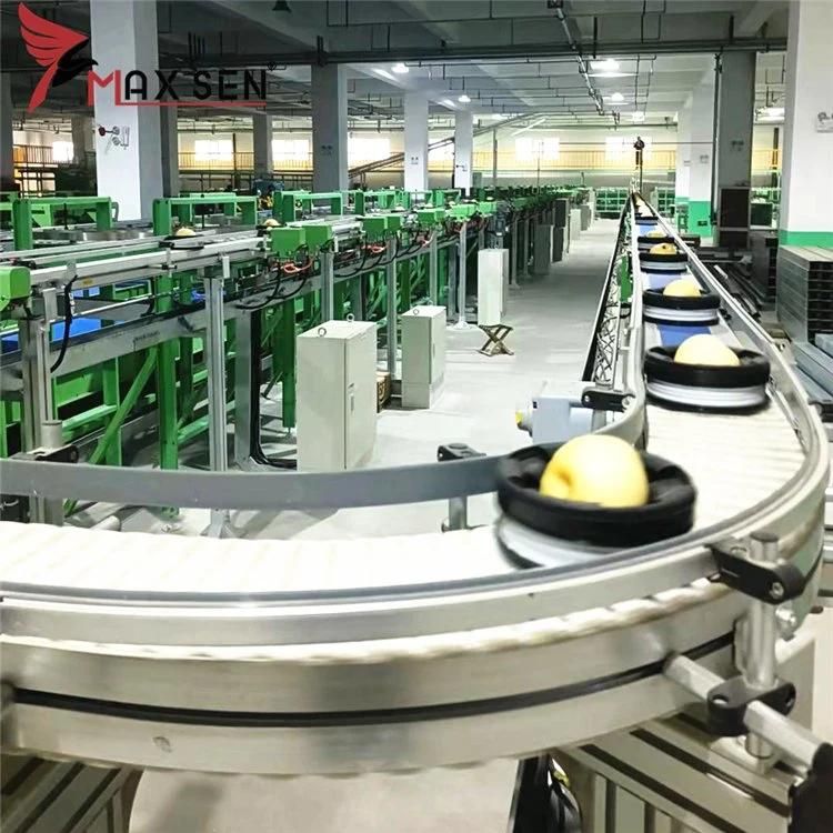 Plastic Chain Flexible Conveyor for Small Containers Delivery