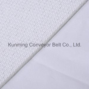 Conveyor Belt for Food and Light Industry (ESM200/2: 0+1.0/3.0PE)