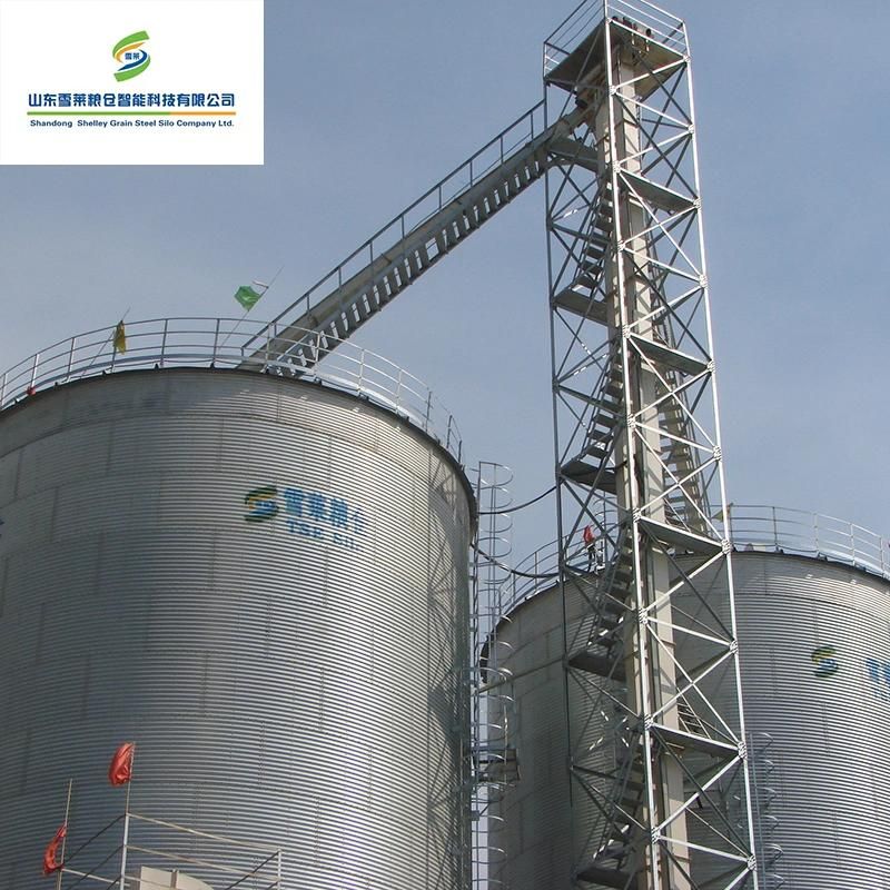 Factory Customized Grain Wheat Corn Paddy Vertical Bucket Elevator