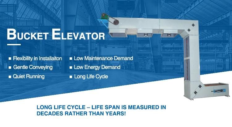 Z Type Chain Continuous Stainless Steel Grain Elevator Bucket Conveyor