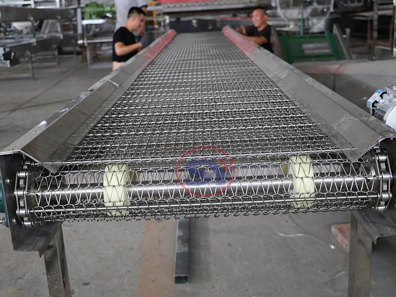 Fruit Vegetable Drying Line Wire Mesh Belt Conveyor Machine