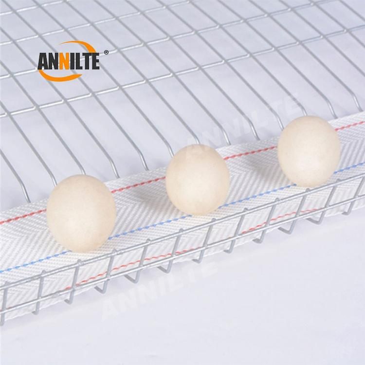 Annilte Poultry Egg Collection Belt
