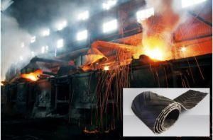 Ep100-Ep600 Coal-Fired Power Plants/Iron and Steel Industry High Temperature Resistant Conveyor Belt