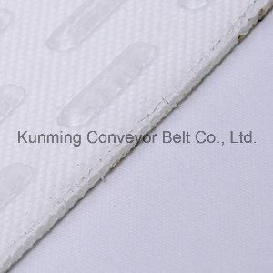 Conveyor Belt for Food Processing (ESM200/2: 0+2.0L/4.0PE)