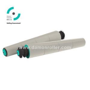 China Polymer Sprocket Tapered Sleeve Roller (2624)