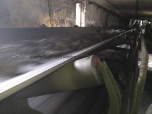 Conveyor UHMWPE Rollers on-Site Application