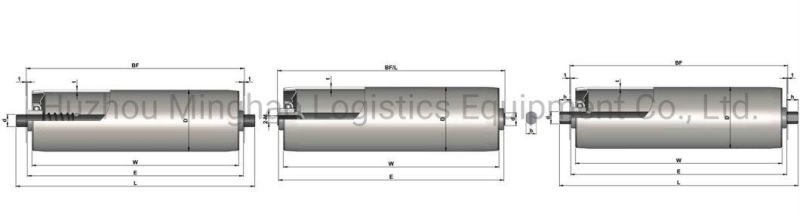 Stainless Steel 201/304 Gravity Conveyor Roller