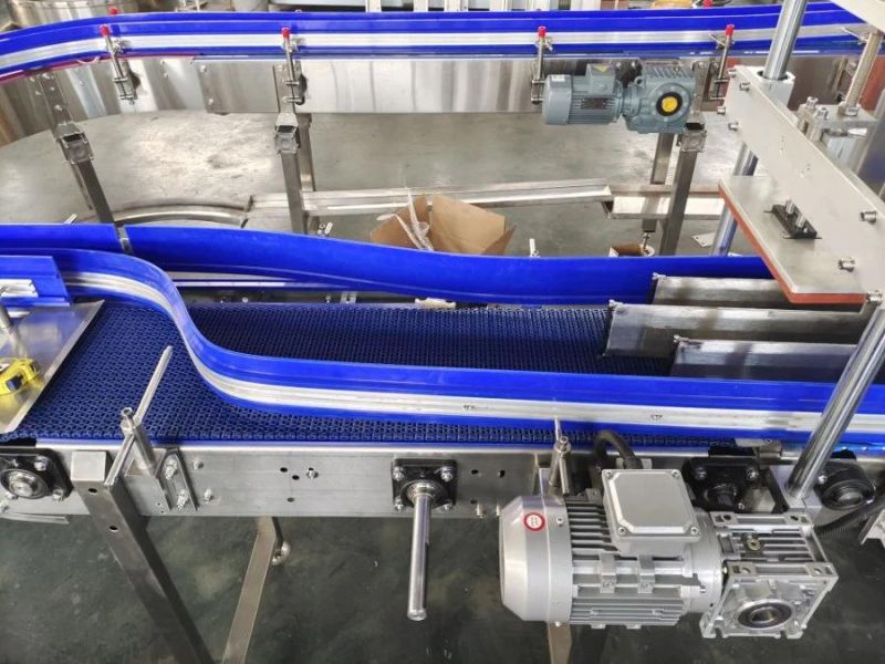 Water Beverage Production Line Customized Plastic Flat Chain Roller Conveyor for Filling Machinery