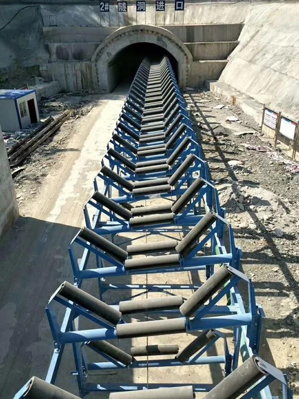 Afnor Standard Mute Energy-Saving Roller Belt Conveyor