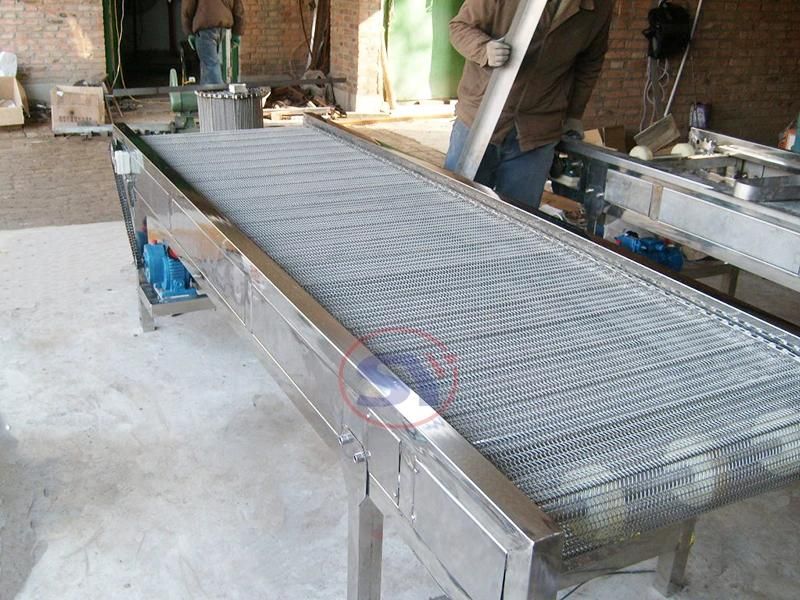 Linear Stainless Steel Wire Net Belt Conveyor for Building Material