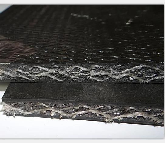 Antistatic Fire Retardent Conveyor Belting with Solid Woven Cancass for Underground Mining