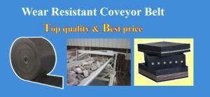 Wear Resistant Belt Conveyor for Cement Coal Stone Mining Ep Nn
