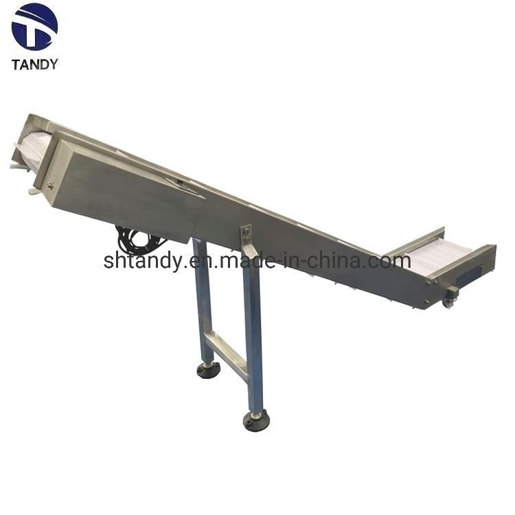 Food Packing Line Stainless Steel Frame Slat Chain Conveyor